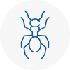 Ant Removals In Thornton