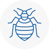 Bed Bug Extermination In Thornton