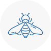 Bee Nest Removal Thornton