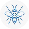 Thornton Hornet Nest Removals