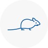 Mice Exterminators In Thornton