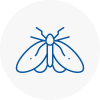 Moth Control Specialists In Thornton