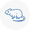 Rat Control Thornton