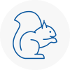 Thornton Rodent Removals
