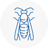 Thornton Wasp Nest Removal